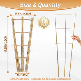Biotolot bamboo trellis in doorway display for climbing vines.