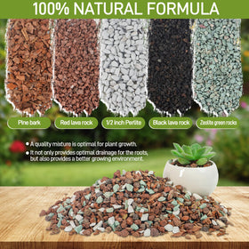 Biotolot bonsai soil mix with volcanic rocks black balances moisture and drainage.