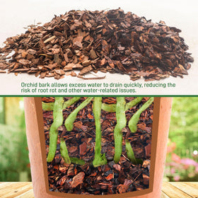 Biotolot cacti-in-bark mulch aids drainage and soil structure.