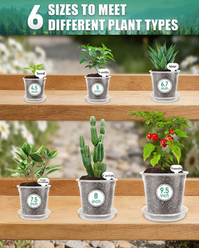 Biotolot clear nursery pot 4-5-inch small seedling starter kit