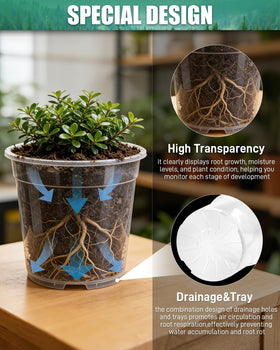 Biotolot clear nursery pot 5-inch compact starter for herbs
