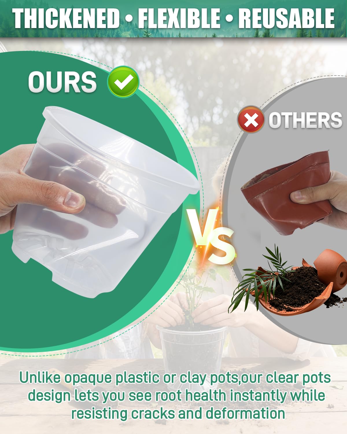Biotolot clear nursery pot 6-7-inch easy transplant readiness