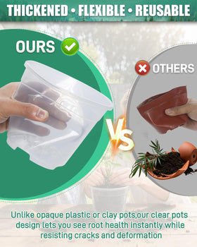 Biotolot clear nursery pot 6-7-inch easy transplant readiness