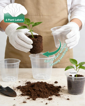 Biotolot clear nursery pot 7-5-inch lets roots develop smoothly