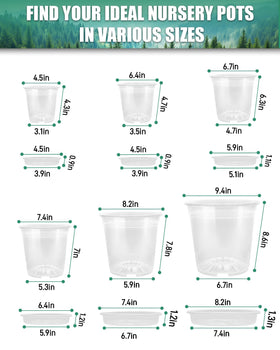 Biotolot clear nursery pot 8-inch ideal for seedling establishment