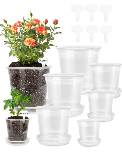Biotolot clear nursery pot 9-5 inch with drainage supports healthy root growth