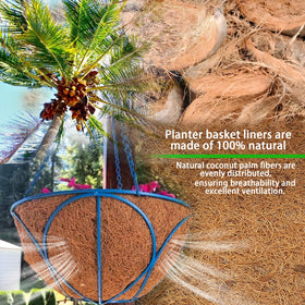 Biotolot coconut liner retains soil and prevents soil loss