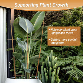 Biotolot easy-to-use trellis slips into pots for quick setup.