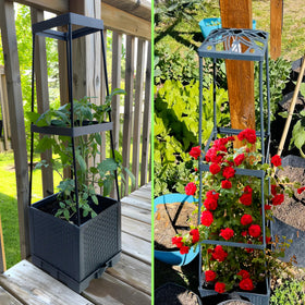 Biotolot suitable for indoor and outdoor garden spaces.