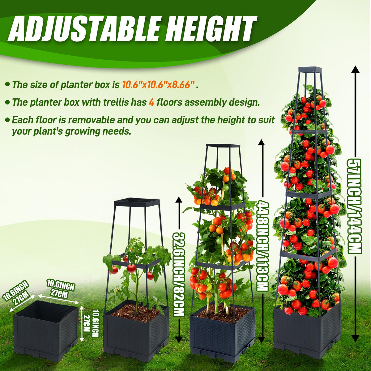 Biotolot versatile planter for tomatoes, peas, roses, and climbers.