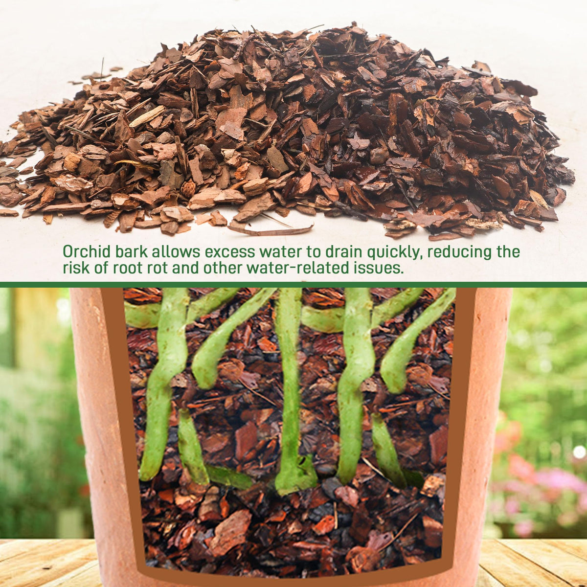 Biotolot bark screened at 1/2 inch for pure orchid mixes.