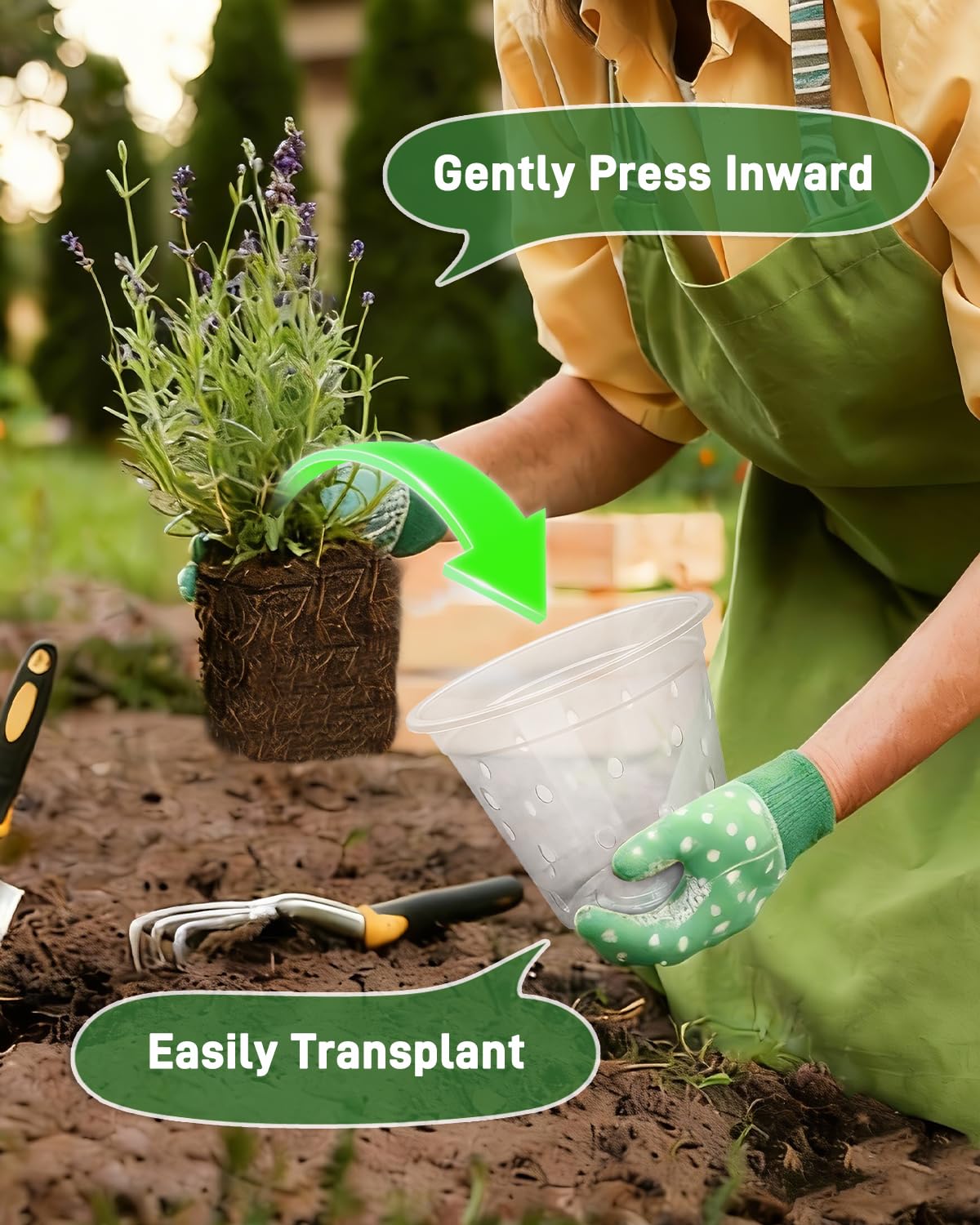 Biotolot bottom-drainage design prevents waterlogging and root rot.