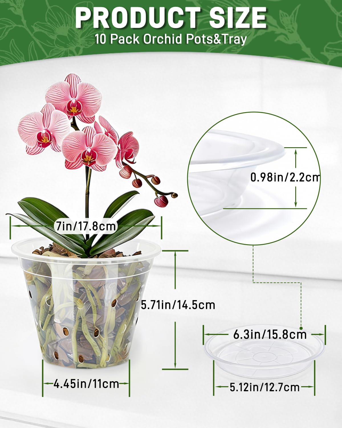 Biotolot clear orchid pot allows easy root and moisture monitoring for informed care.