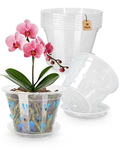Biotolot orchid pot with deeper design supports robust roots and moisture balance.