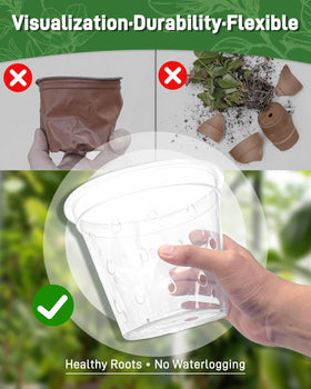 Biotolot side-venting pot supports balanced moisture and robust growth.