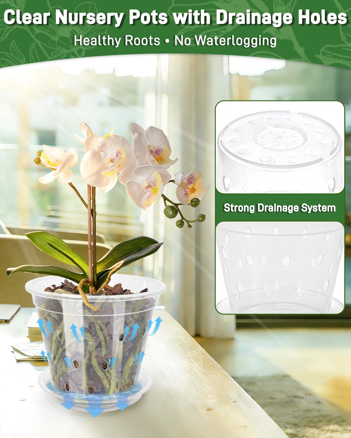 Biotolot thick plastic orchid pot offers durable, long-term use indoors and outdoors.