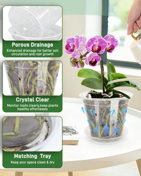 Biotolot orchid pot with holes promotes airflow and drainage for healthy roots.