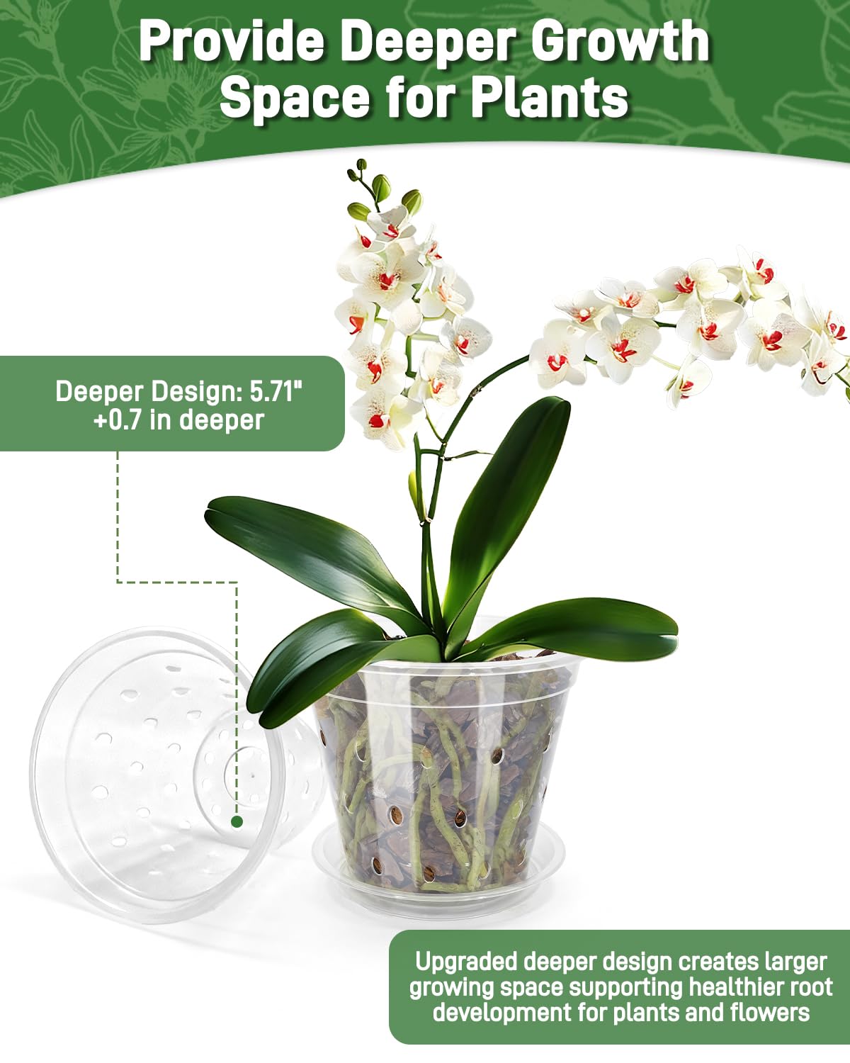 Biotolot orchid pot on a window sill demonstrates versatile placement.