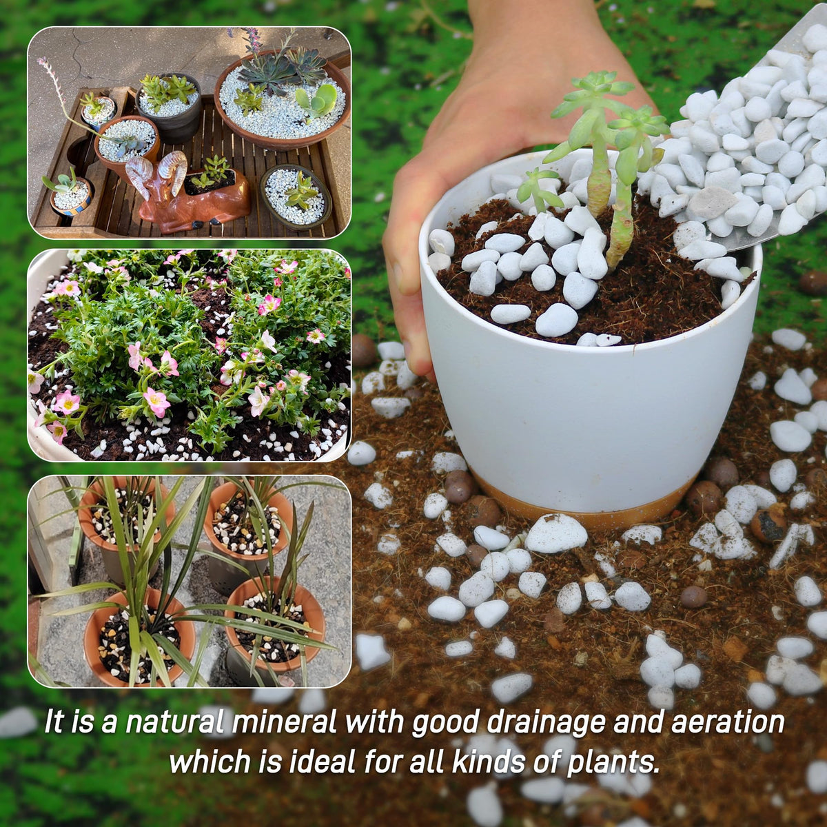 Biotolot perlite natural soil amendment offers versatile gardening support