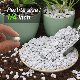 Biotolot chunky perlite enhances aeration with a porous structure for root health