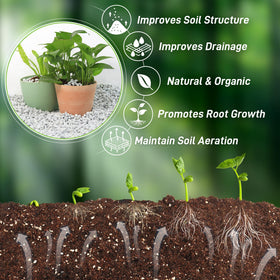 Biotolot perlite suits succulents and orchids for versatile soil amendment