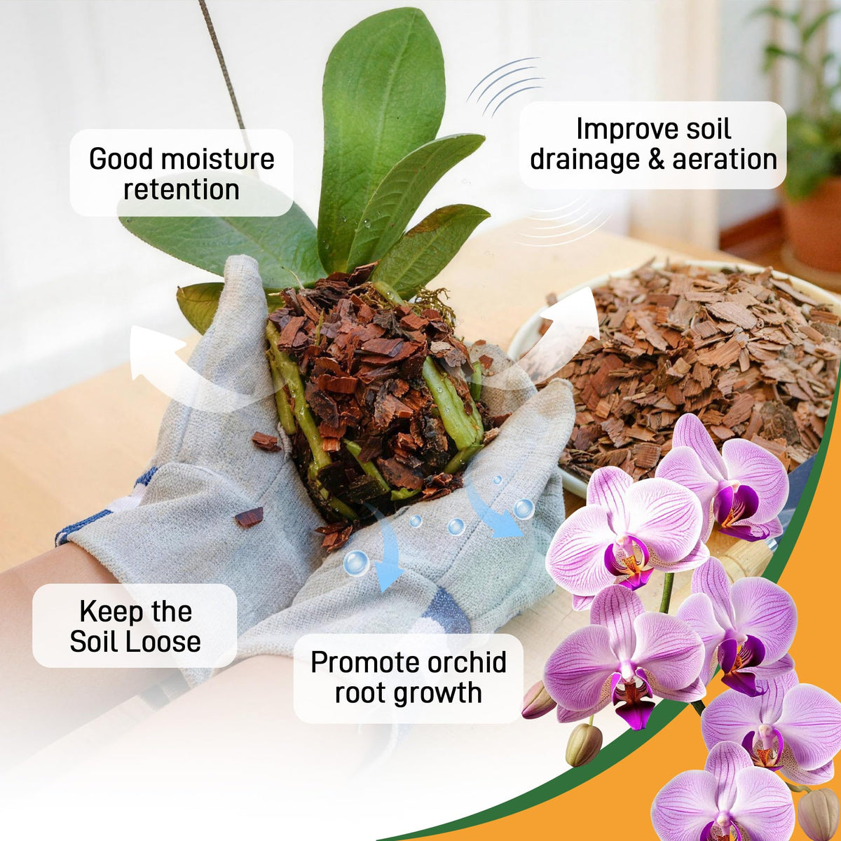 Biotolot succulents-in-bark-mix promotes balanced moisture and aeration.