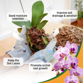 Biotolot succulents-in-bark-mix promotes balanced moisture and aeration.