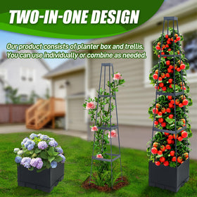 Biotolot adjustable trellis height supports growing vines.