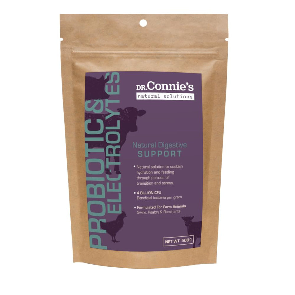 Bioverse Dr Connie's Probiotic Electrolyte bottle pour supports poultry hydration.