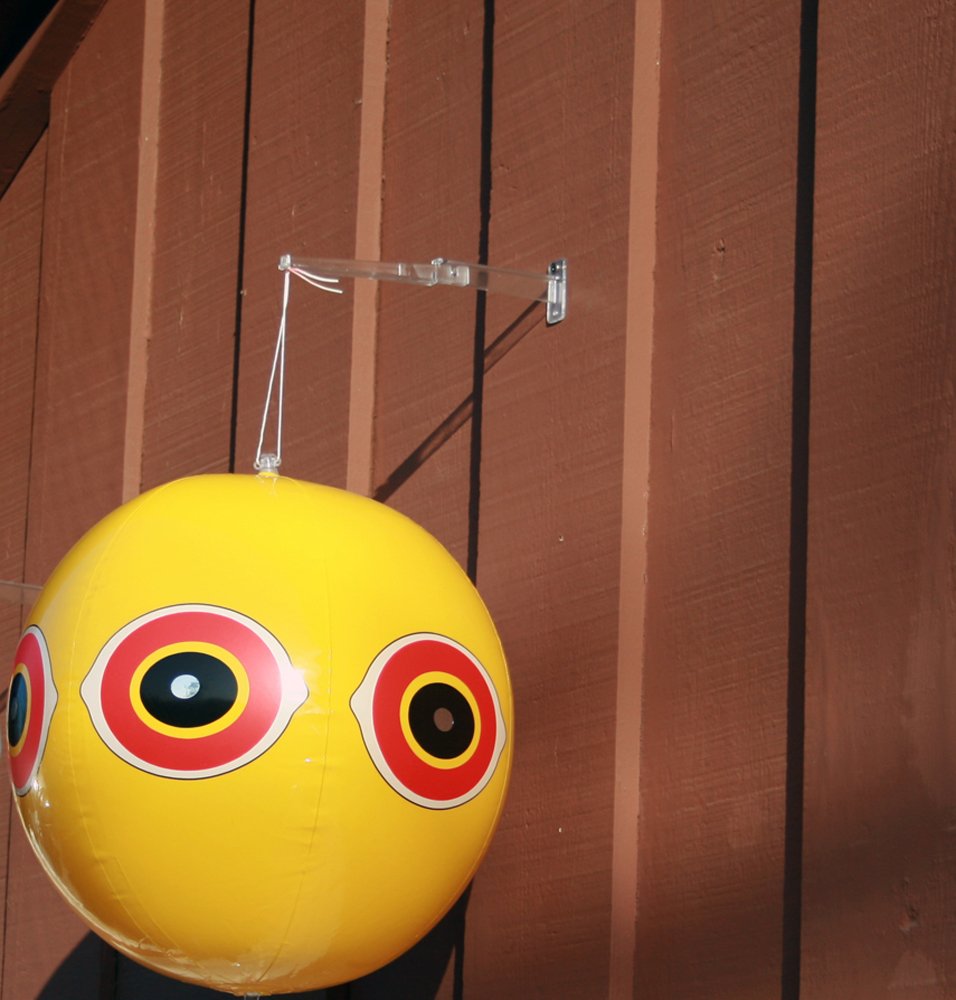 Bird B Gone Scare Balloon eyes deter ducks on boats and docks.