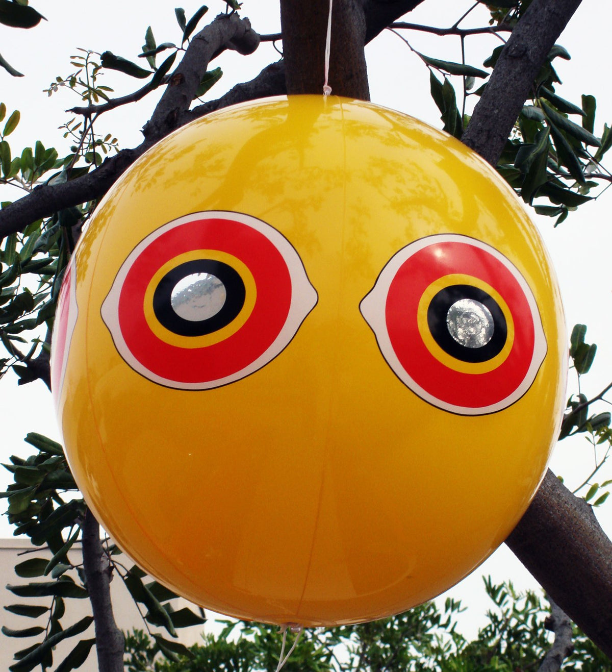Bird B Gone Scare Balloon reflective eyes keep sparrows away from garden plants.