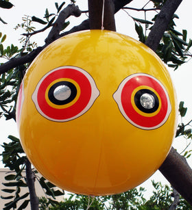 Bird B Gone Scare Balloon reflective eyes keep sparrows away from garden plants.