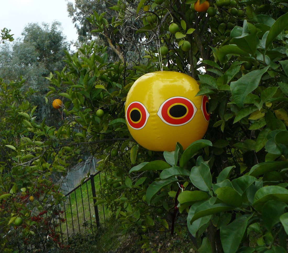 Bird B Gone Scare Balloon reflective eyes guard trees and gazebos from nesting.