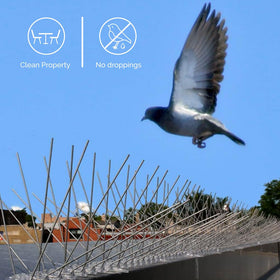 Bird-X spikes deter pigeons and small birds, reducing droppings and debris.