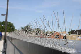 Bird-X STS-24 spikes installed on a roof edge deter perching and mess.