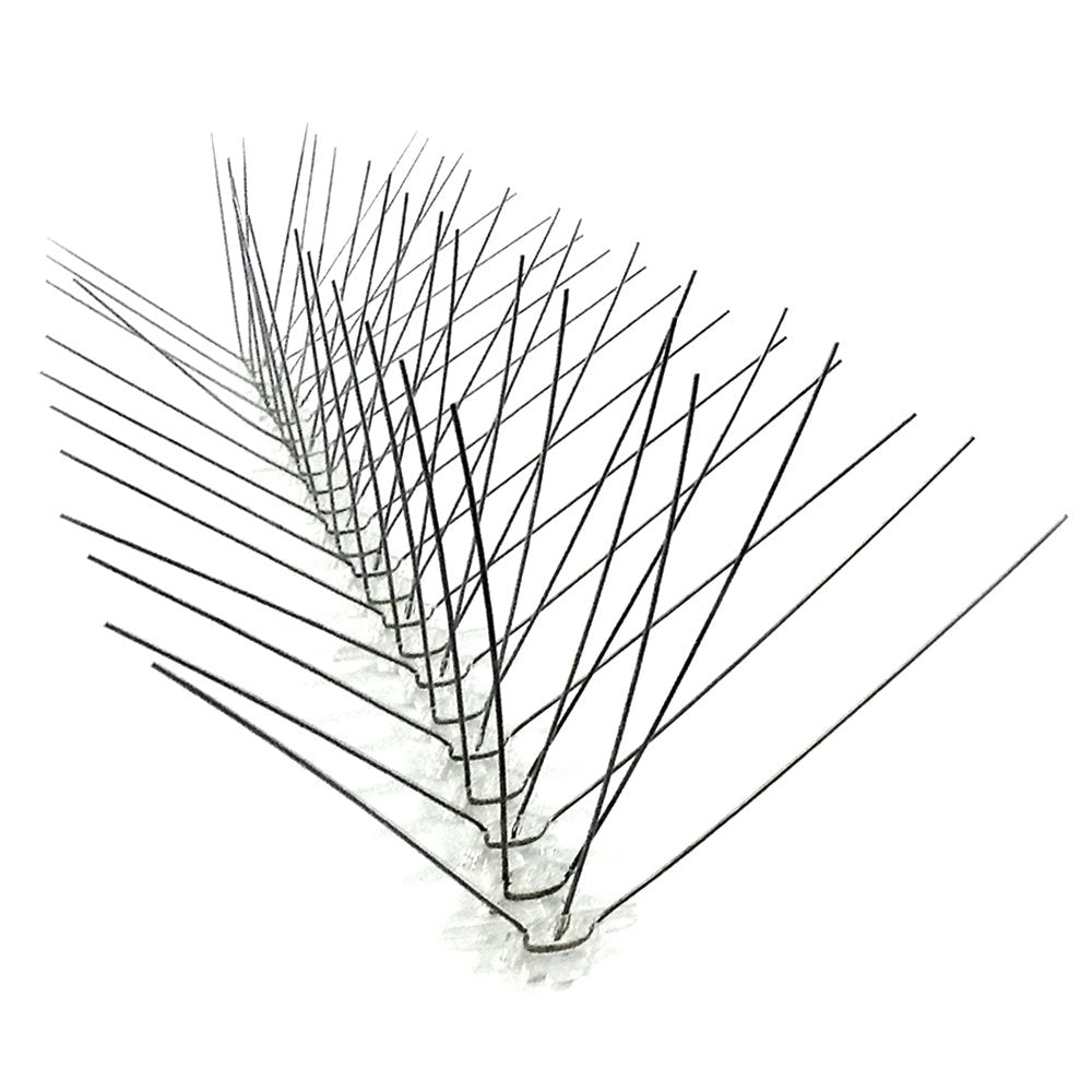 Bird-X STS-24 6-inch stainless steel spikes form a durable bird landing barrier.