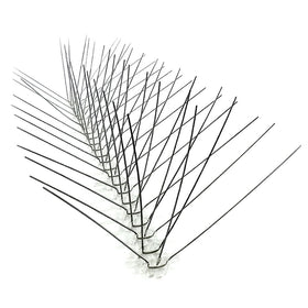 Bird-X STS-24 6-inch stainless steel spikes form a durable bird landing barrier.