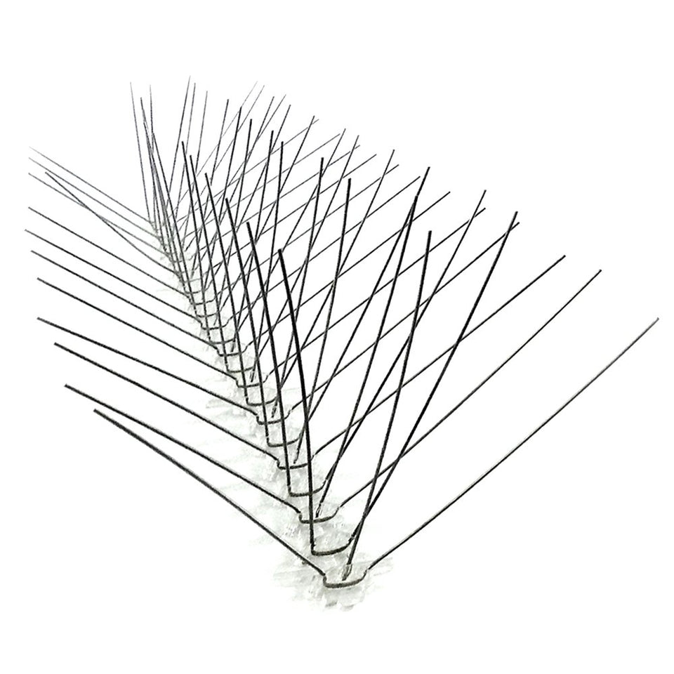 Bird-X STS-24 6-inch stainless steel spikes form a durable bird landing barrier.