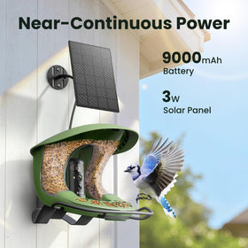 Birdfy 2 companion app enables easy sharing and family birdwatching.