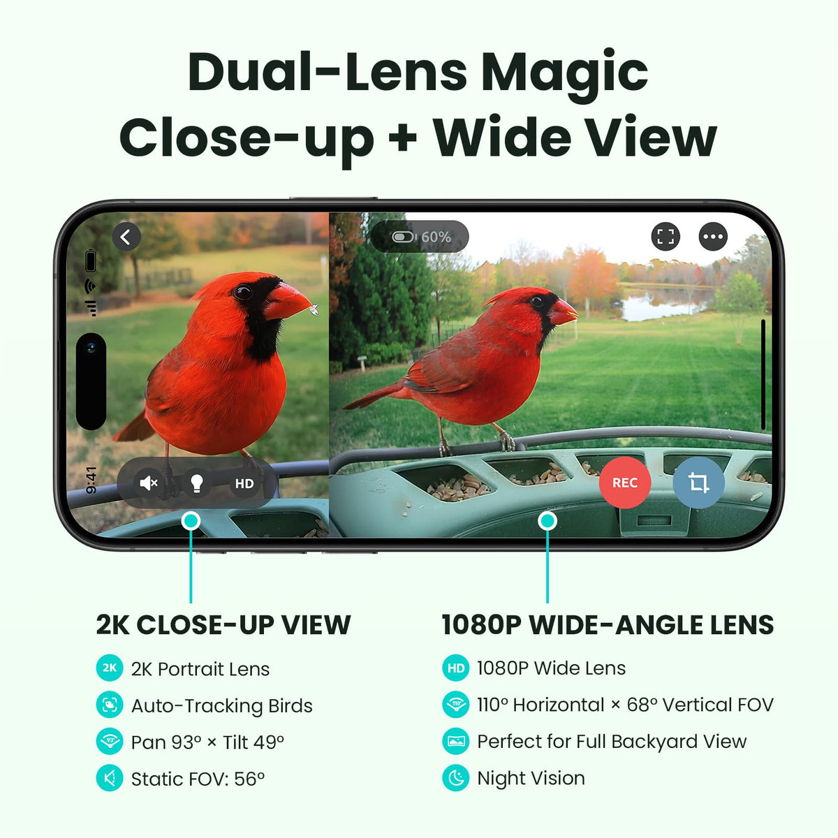 Birdfy 2 live-stream window view captures fast-moving birds in real time.