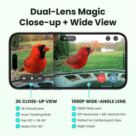 Birdfy 2 live-stream window view captures fast-moving birds in real time.