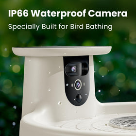 Detachable camera and basin enable easy cleaning and charging