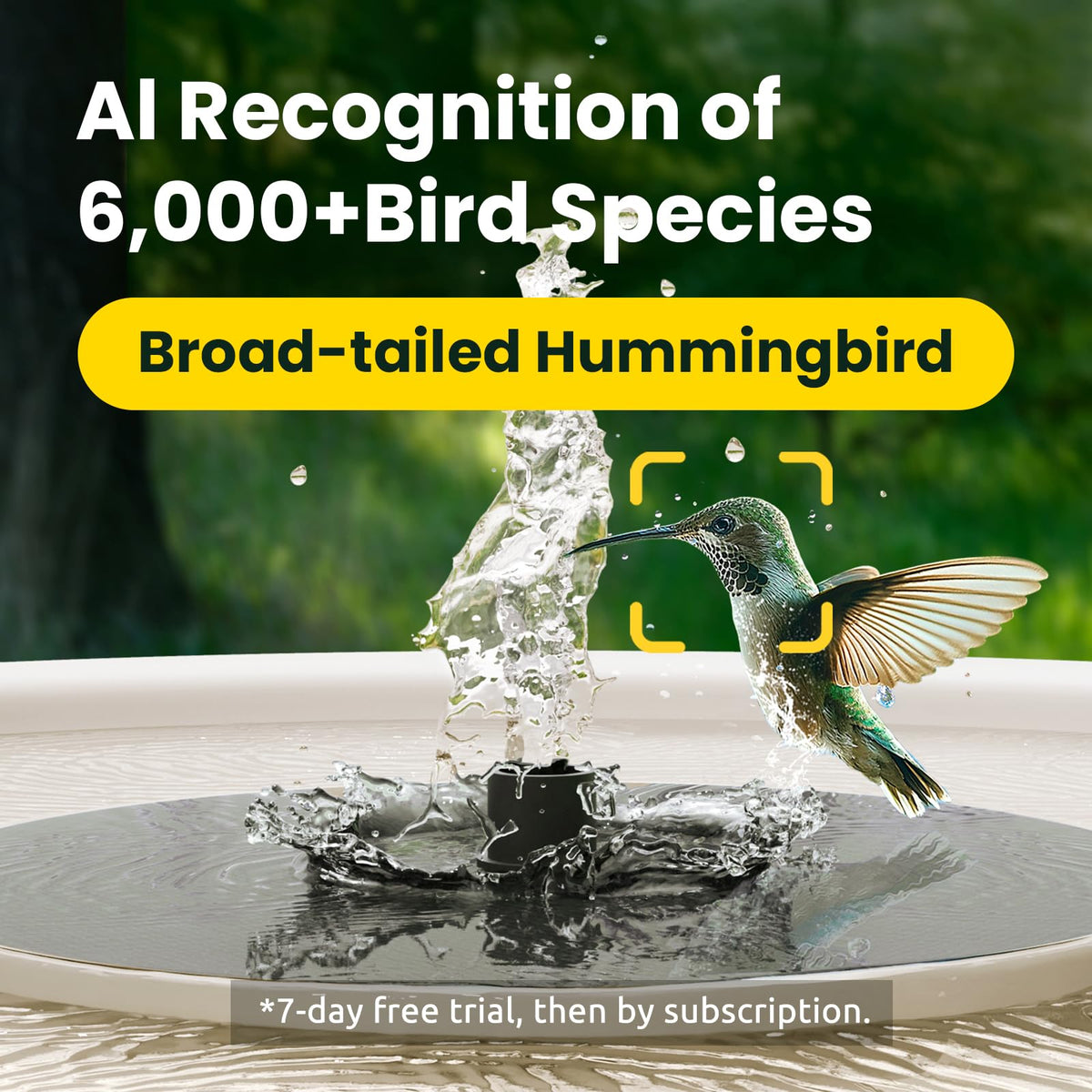 Three nozzle fountain creates engaging water sprays for bird visits