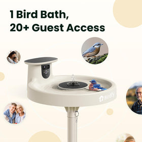 Birdfy app identifies species and summarizes daily highlights