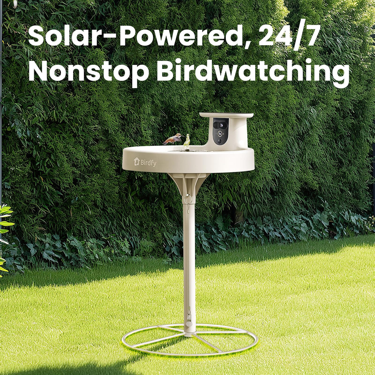 Auto capture bird videos for convenient viewing on your phone