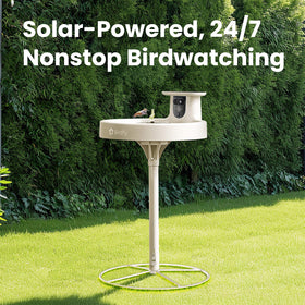 Auto capture bird videos for convenient viewing on your phone