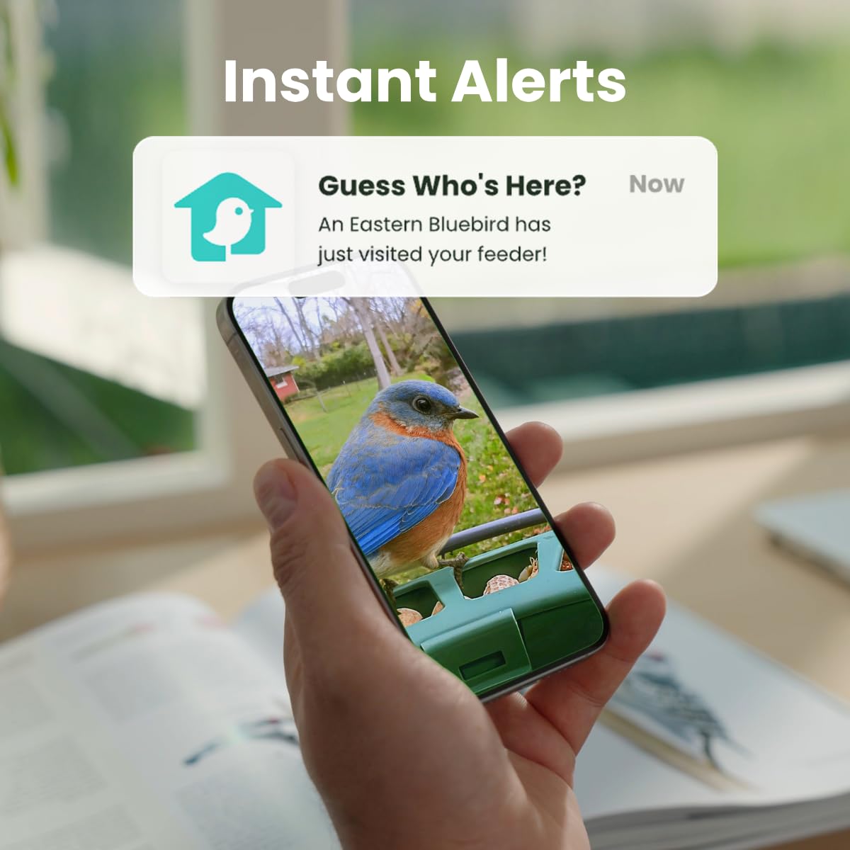 Birdfy community connects bird lovers with researchers and conservation groups