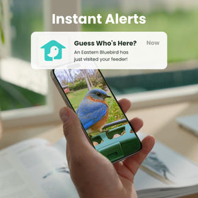 Birdfy community connects bird lovers with researchers and conservation groups