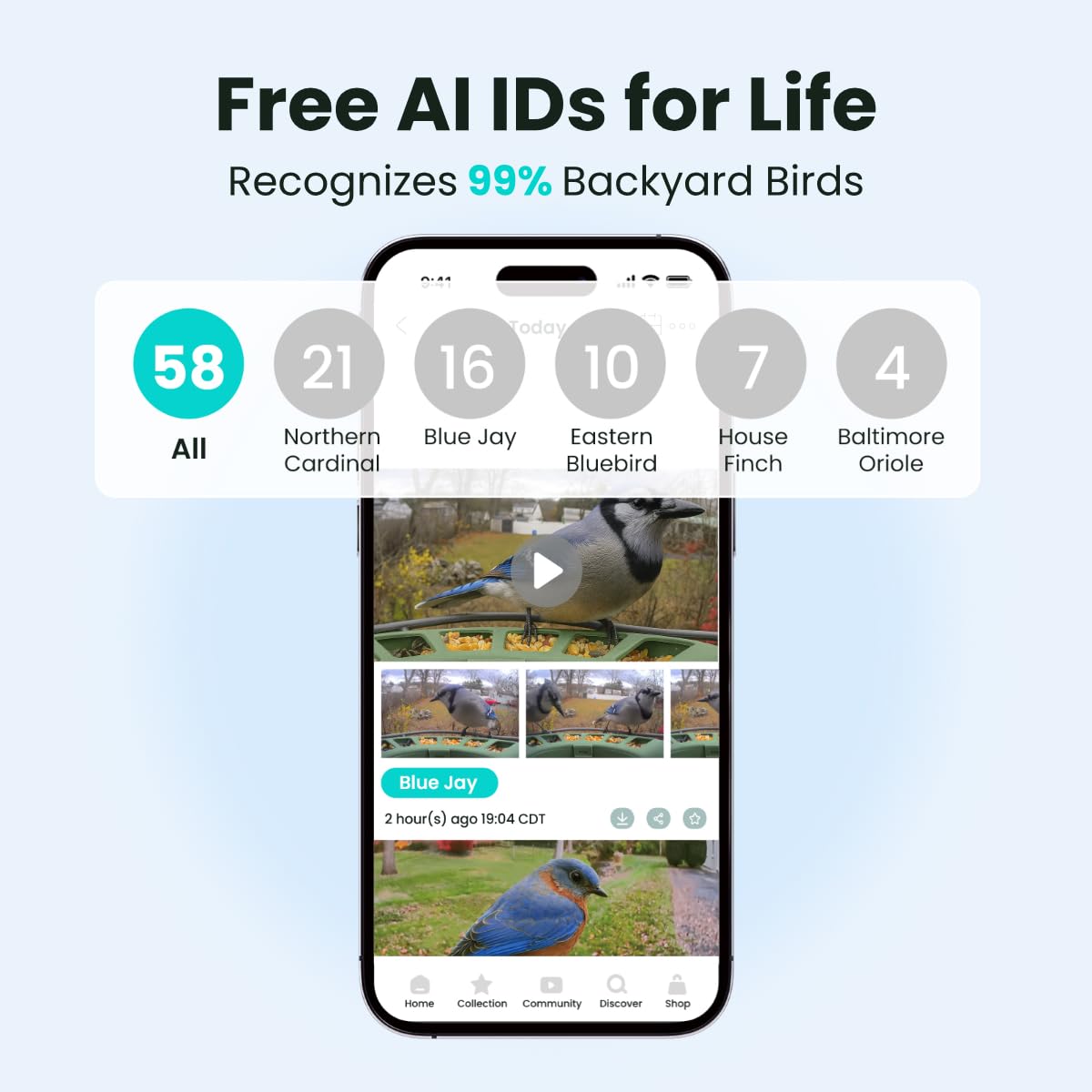 Birdfy cloud storage preserves clips, highlights, and monthly insights