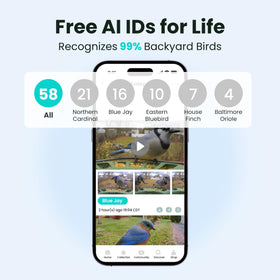 Birdfy cloud storage preserves clips, highlights, and monthly insights